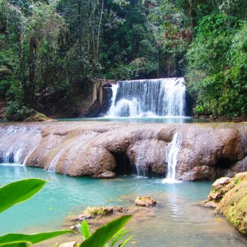 Thriller Tours Jamaica - YS Falls Tour