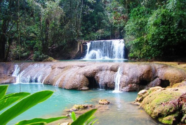 Thriller Tours Jamaica - YS Falls Tour