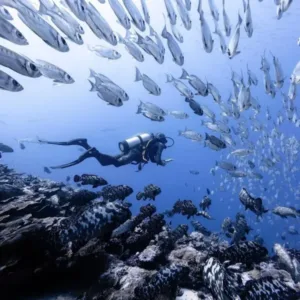 Scuba Diving in Montego Bay